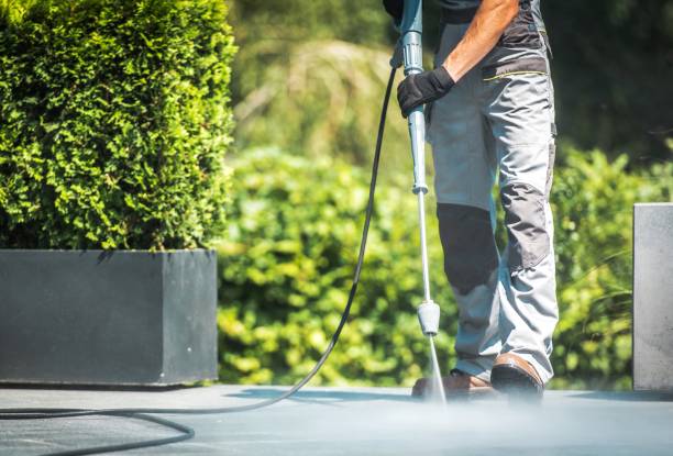 Best Sidewalk and Walkway Pressure Cleaning in Heidelberg, TX