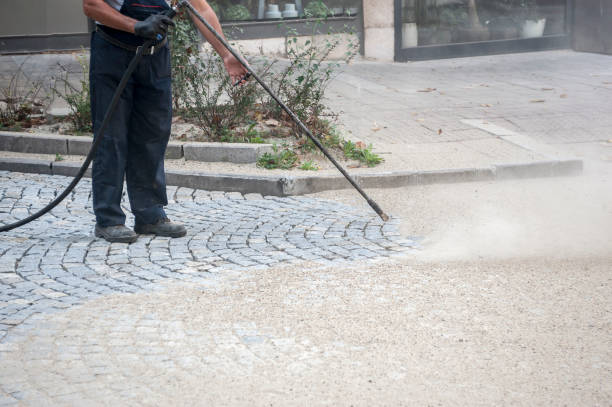 Best Driveway Cleaning and Restoration in Heidelberg, TX