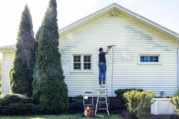 Best Vinyl Siding Pressure Washing in Heidelberg, TX